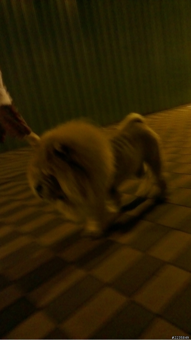 HTC ONE X超強相機 HDR大比拚(圖多)