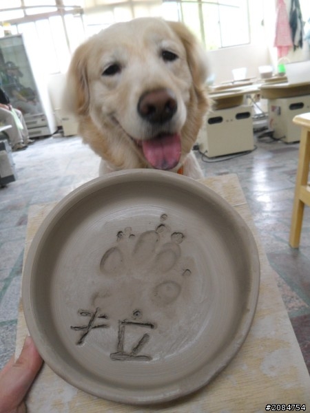 省道一姐輕省生活之絕代雙woo！