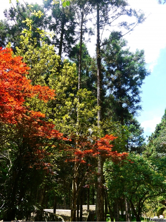 [2012-5-1 這次單人-單日雙北]-我愛龜山島