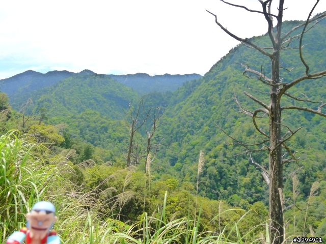 [2012-5-1 這次單人-單日雙北]-我愛龜山島