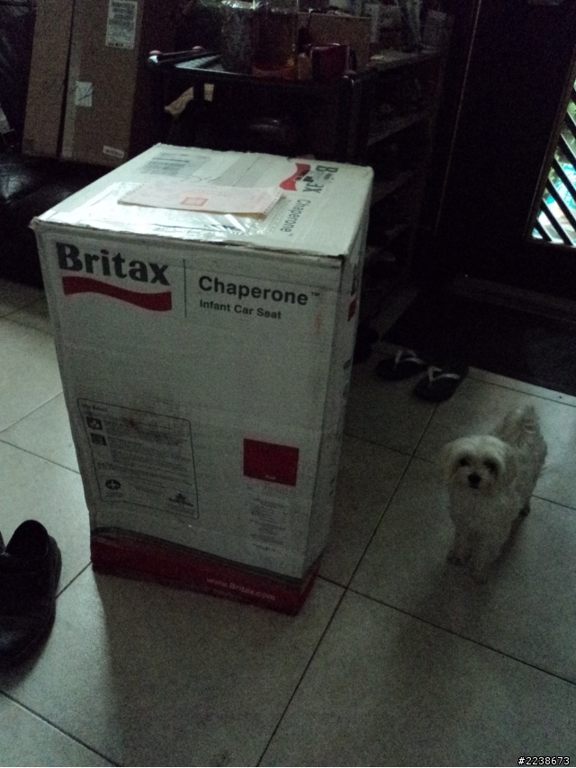 [開箱]Britax 嬰兒提籃