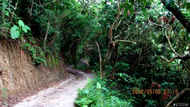 2012.05 台中霧峰區峰谷