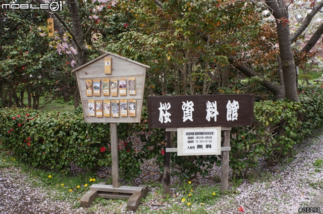 2012/05/10 北海道賞櫻之旅 Day 3 松前町公園、昭和新山、熊牧場、洞爺湖