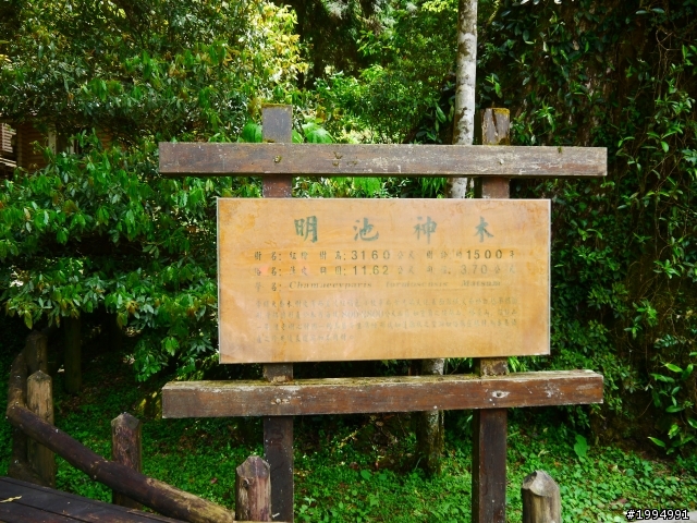 [2012-5-1 這次單人-單日雙北]-我愛龜山島