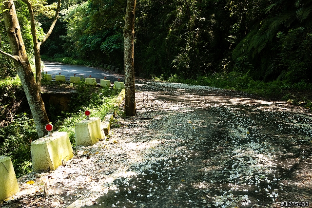 [單車假期2]鄉村小路──南窩綠丘(2012.04.30)