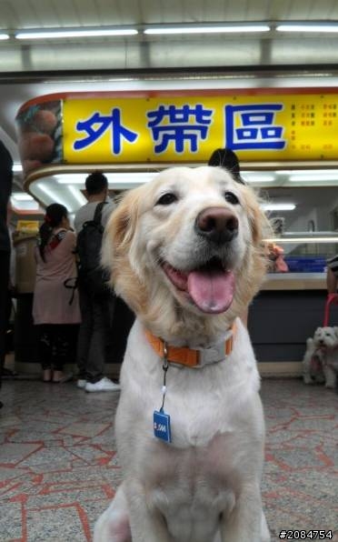 省道一姐輕省生活之絕代雙woo！