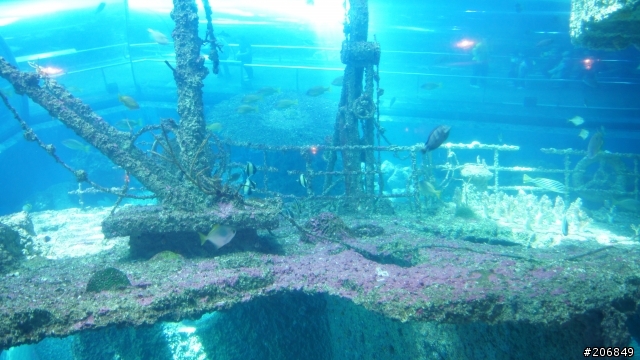 [更新完成!!] 小宇宙被燃燒之我也做得到- 4天海線+四極點環島之旅(4/21~4/24)
