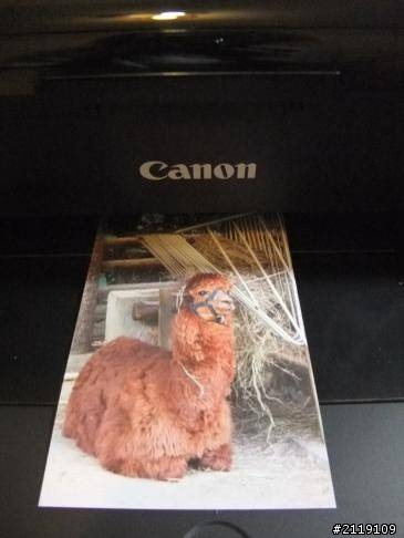 [心得] Canon E600大印量傳真複合機