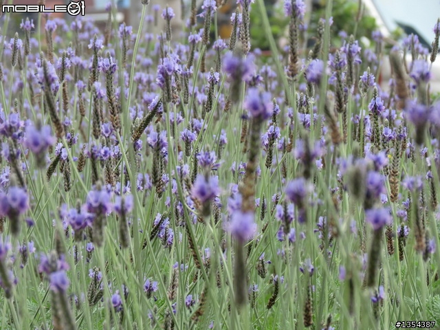 【全篇已更新完畢】4/1-4/7七天六夜雙人首次逆時針環島行