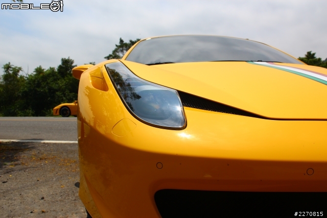 5/26 一早上106兜風 驚見馬群 !!