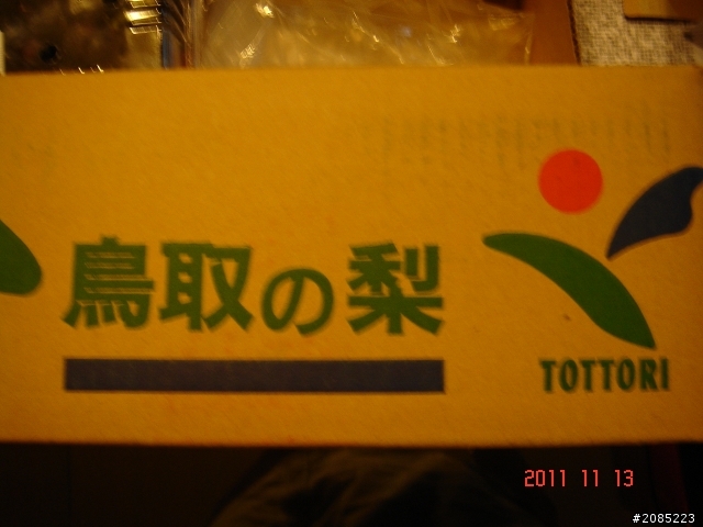 鳥取梨
