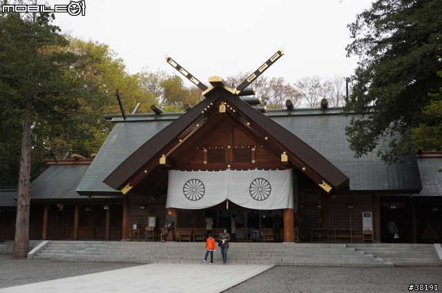 2012/05/12 北海道賞櫻之旅 Day 5 北海道神宮、大倉山滑雪競技場、新千歲機場