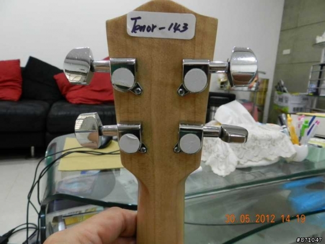 我的第一把單板烏克麗麗(UKULELE) 開箱