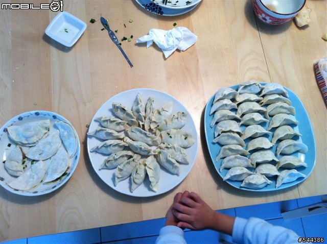 帥麒料理~包水餃囉(蝦仁韭菜無敵餃)