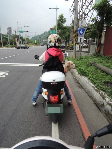 省道一姐輕省生活之絕代雙woo！