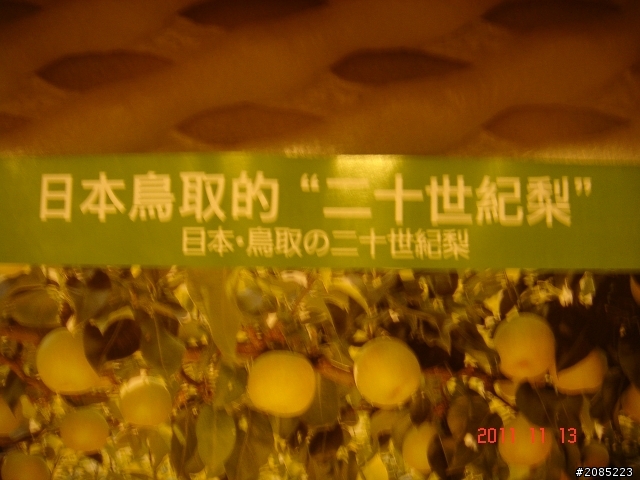 鳥取梨