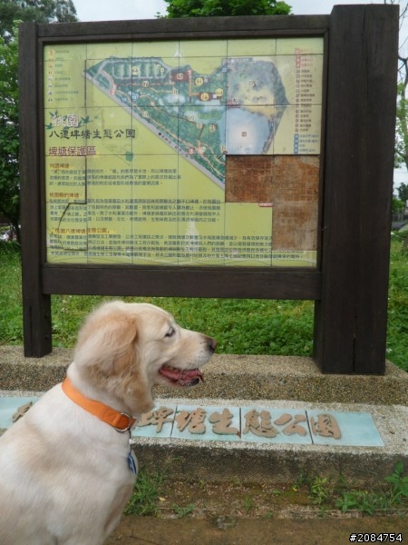 省道一姐輕省生活之絕代雙woo！