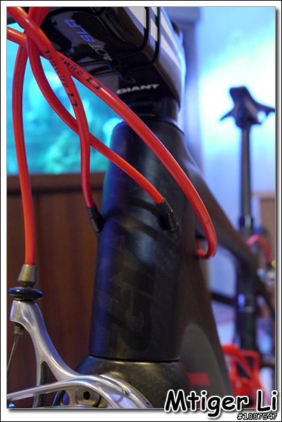 開箱文:我的新戰馬2012 GIANT TCR ADVANCED SL消光黑