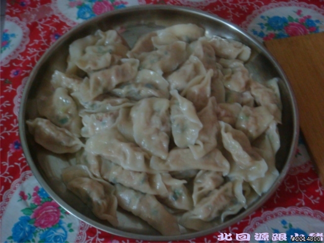 做豬肉水餃