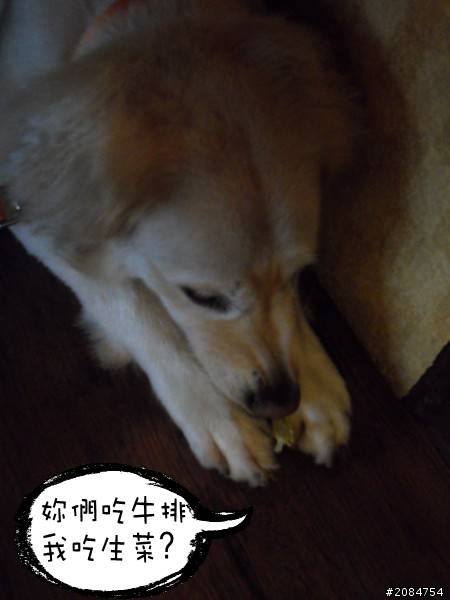 省道一姐輕省生活之絕代雙woo！