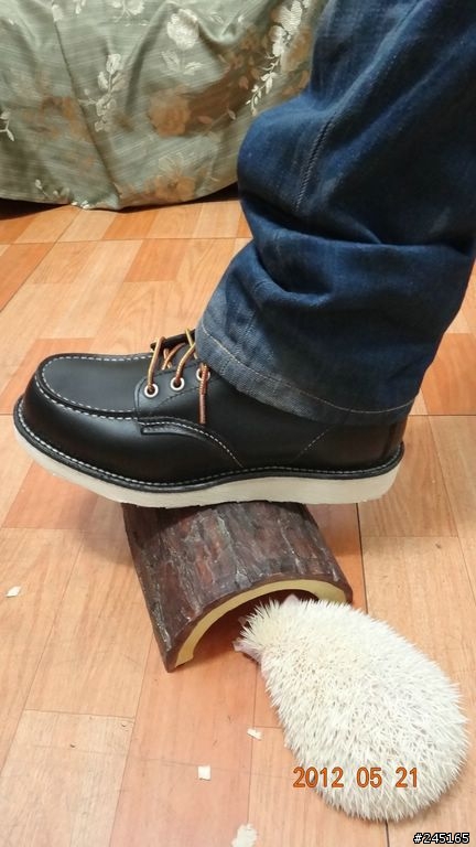 (開箱)-我要一次開5箱-mansway & chippewa & red wing & whites (圖多慎入)