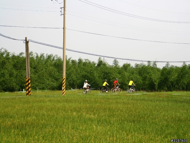 2012年5月6日關廟鳳梨好筍節