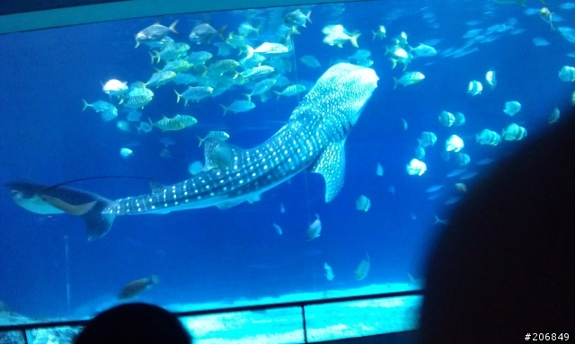 [更新完成!!] 小宇宙被燃燒之我也做得到- 4天海線+四極點環島之旅(4/21~4/24)