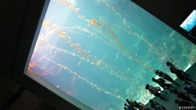 [更新完成!!] 小宇宙被燃燒之我也做得到- 4天海線+四極點環島之旅(4/21~4/24)