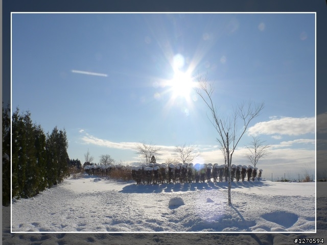[ 遊記分享-多圖 ]  2011.12 再遊北海道 _ 上集