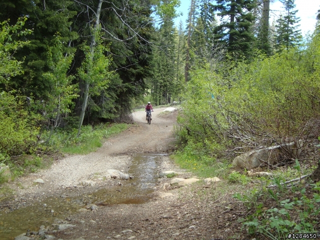 [MTB遊記]  六月殘雪下的超級越野路線 – Downieville downhill