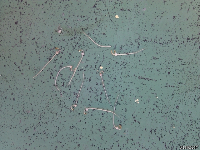 透天頂樓隔熱遮陽網diy分享(1年後)