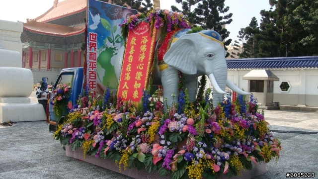 百年浴佛的靓妹