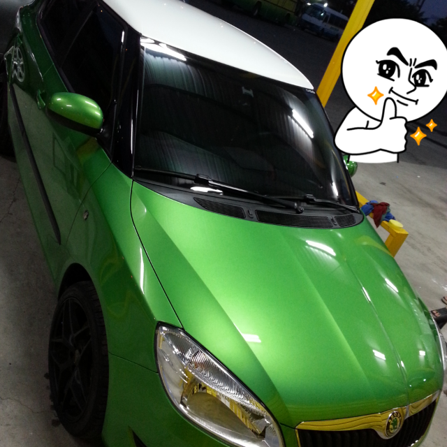 FABIA 1.2 拉力綠 滿兩個月開開箱!!
