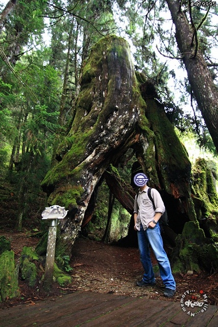 2012-06-24 帶著悲劇色彩的太平山之旅......