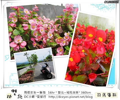 (更新完畢)兩個女生一隻狗●16hr *雙北+司馬庫斯* (360km)
