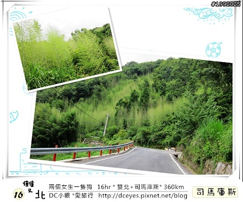 (更新完畢)兩個女生一隻狗●16hr *雙北+司馬庫斯* (360km)