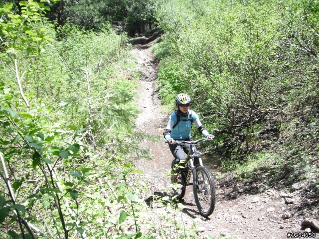 [MTB遊記]  六月殘雪下的超級越野路線 – Downieville downhill