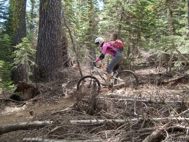 [MTB遊記]  六月殘雪下的超級越野路線 – Downieville downhill