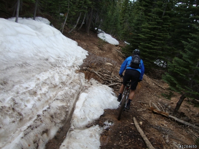 [MTB遊記]  六月殘雪下的超級越野路線 – Downieville downhill