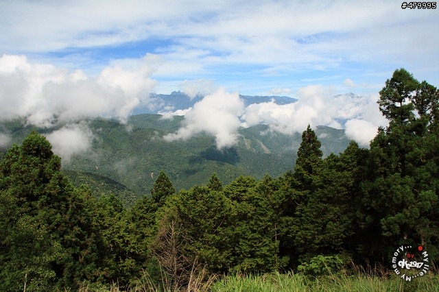 2012-06-24 帶著悲劇色彩的太平山之旅......