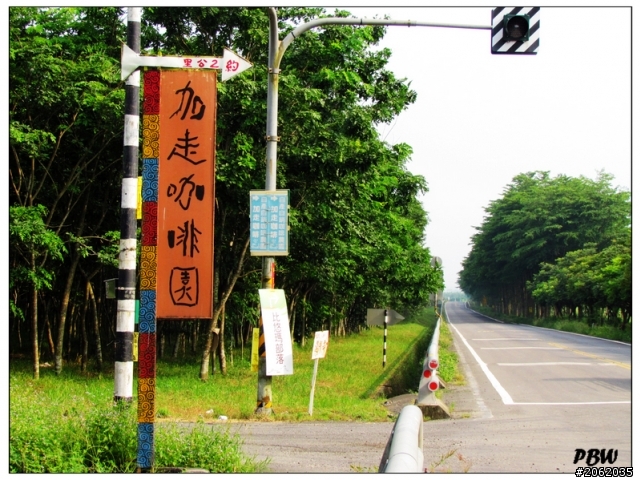 《屏東》沿山公路43K【加走咖啡園】