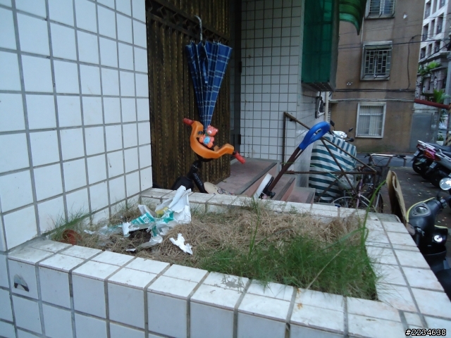 這地方  適合種什麼_請問先進