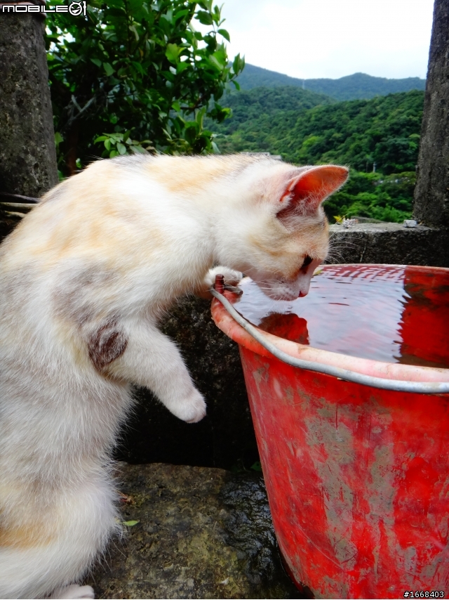 TX20可以蓋大樓嗎