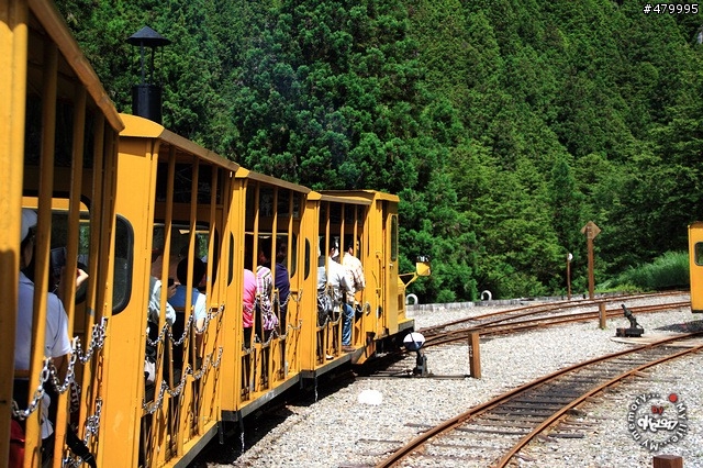 2012-06-24 帶著悲劇色彩的太平山之旅......