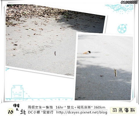 (更新完畢)兩個女生一隻狗●16hr *雙北+司馬庫斯* (360km)