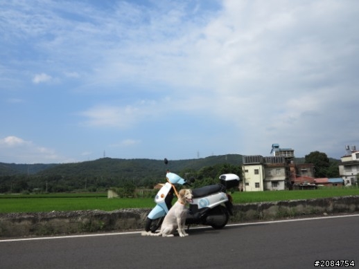 省道一姐輕省生活，Beautiful Sunday