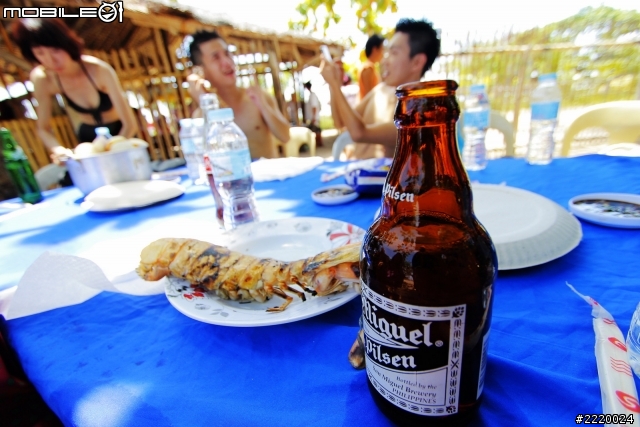 2012/6 飛進心菲 《宿霧、資生堂島、薄荷島》