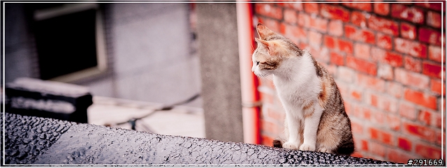 【不專業分享】‧ Nikon D700 with 24-120 F4 ED VR旅遊鏡小開箱