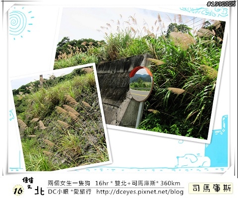(更新完畢)兩個女生一隻狗●16hr *雙北+司馬庫斯* (360km)