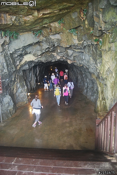 【東引力‧慢旅行】安東坑道~跟黑尾燕鷗說Hello!